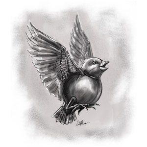 Tweeter (Carol Phillips)