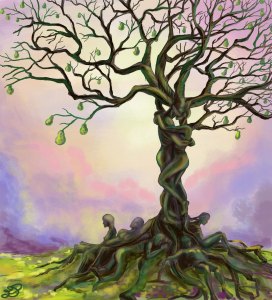 Wandwilla (Ewelina Dolzycka)