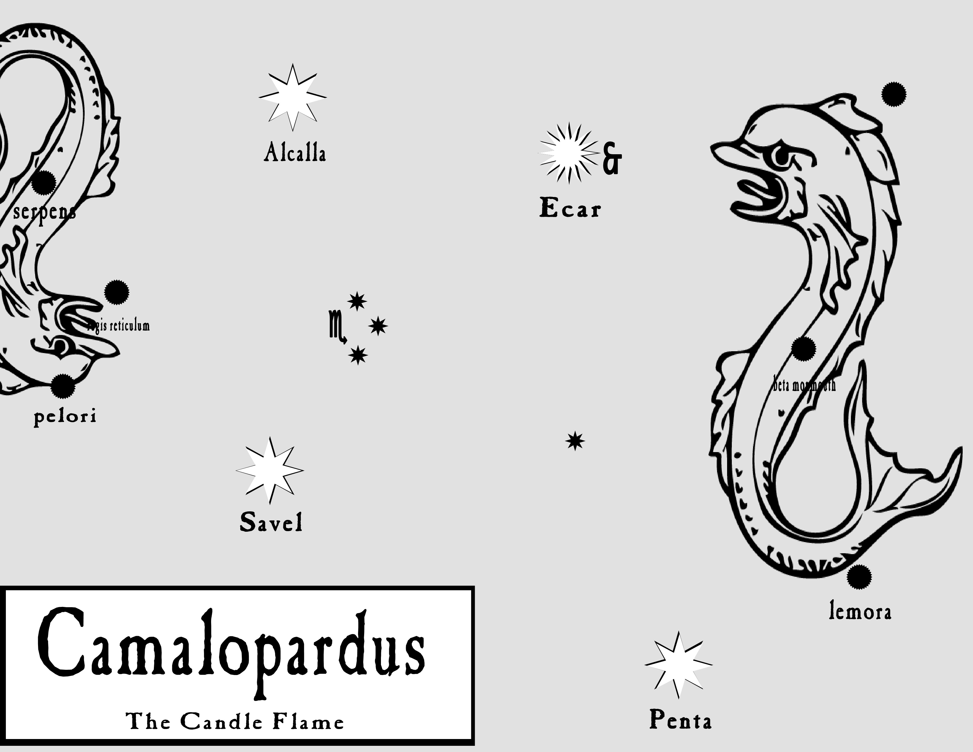 Camalopardus